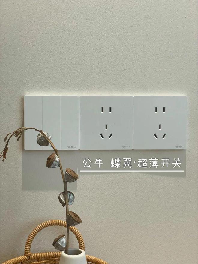 bandao半岛倡议各人：不论屋子巨细装修时“这5样工具”必然要买贵的！(图4)