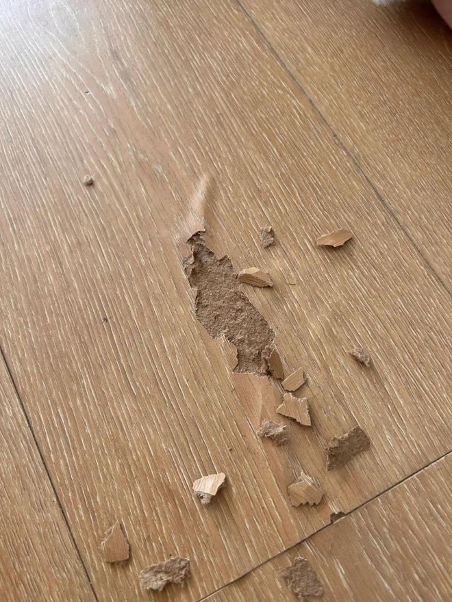 bandao半岛倡议各人：不论屋子巨细装修时“这5样工具”必然要买贵的！(图11)